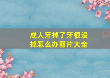 成人牙掉了牙根没掉怎么办图片大全