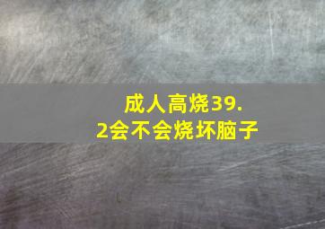 成人高烧39.2会不会烧坏脑子