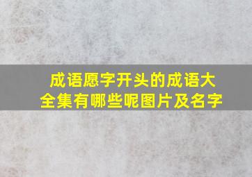 成语愿字开头的成语大全集有哪些呢图片及名字