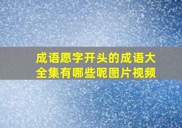 成语愿字开头的成语大全集有哪些呢图片视频