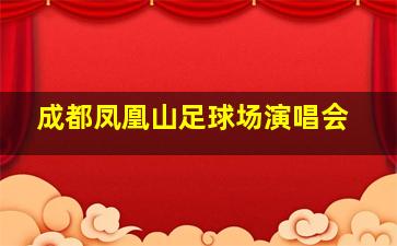 成都凤凰山足球场演唱会