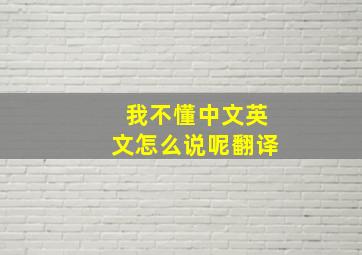 我不懂中文英文怎么说呢翻译