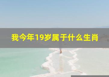 我今年19岁属于什么生肖