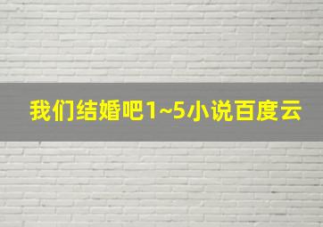 我们结婚吧1~5小说百度云