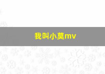 我叫小莫mv