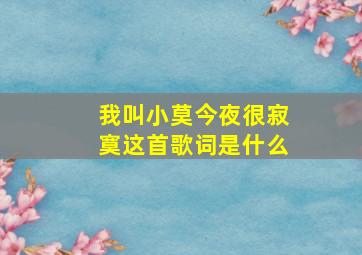 我叫小莫今夜很寂寞这首歌词是什么