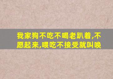 我家狗不吃不喝老趴着,不愿起来,喂吃不接受就叫唤