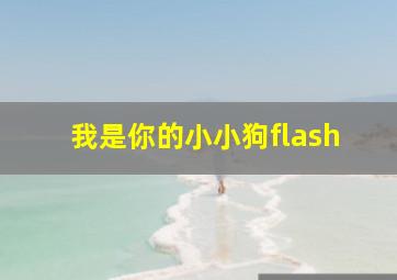 我是你的小小狗flash