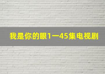 我是你的眼1一45集电视剧