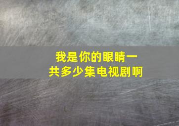 我是你的眼睛一共多少集电视剧啊