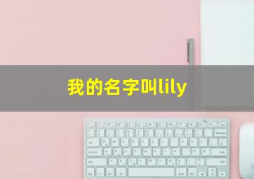 我的名字叫lily