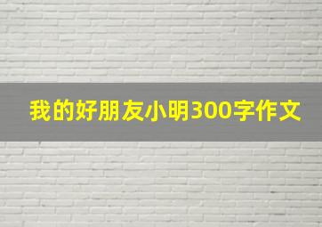 我的好朋友小明300字作文