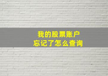 我的股票账户忘记了怎么查询