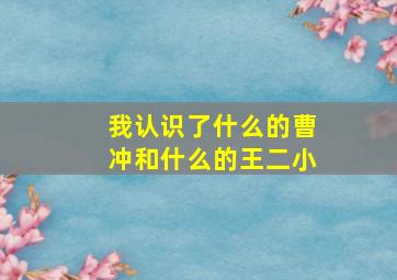 我认识了什么的曹冲和什么的王二小