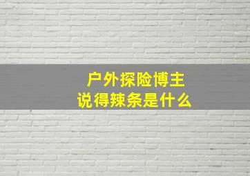 户外探险博主说得辣条是什么