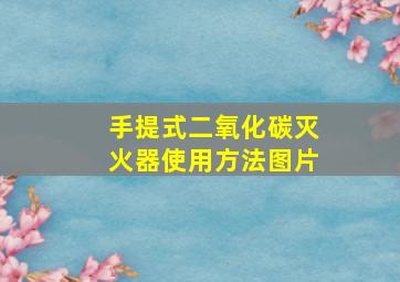 手提式二氧化碳灭火器使用方法图片