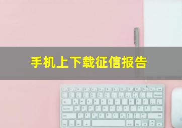 手机上下载征信报告