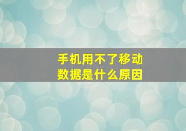 手机用不了移动数据是什么原因