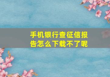 手机银行查征信报告怎么下载不了呢