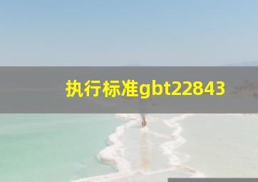 执行标准gbt22843