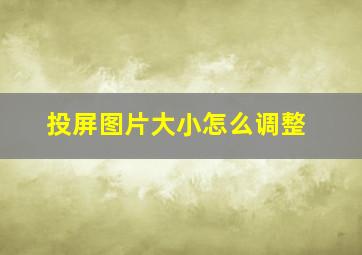 投屏图片大小怎么调整