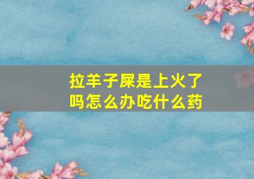 拉羊子屎是上火了吗怎么办吃什么药