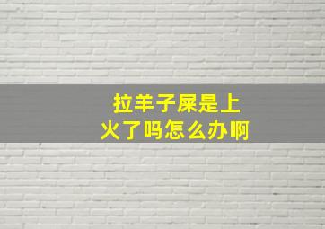 拉羊子屎是上火了吗怎么办啊