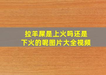 拉羊屎是上火吗还是下火的呢图片大全视频