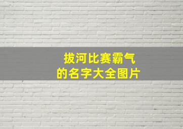 拔河比赛霸气的名字大全图片