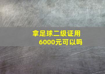 拿足球二级证用6000元可以吗