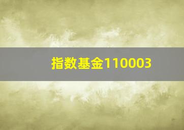 指数基金110003