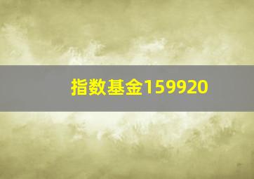 指数基金159920