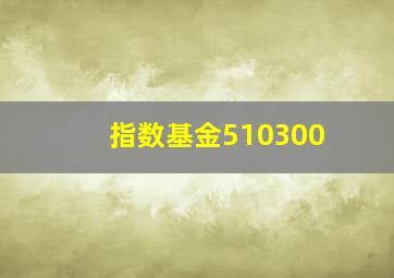 指数基金510300