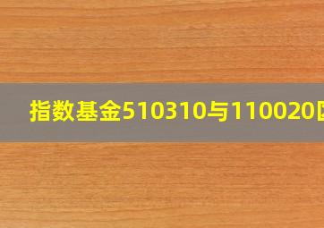 指数基金510310与110020区别