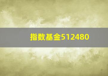 指数基金512480