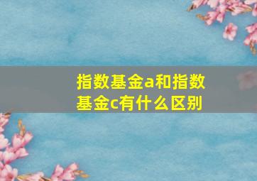 指数基金a和指数基金c有什么区别