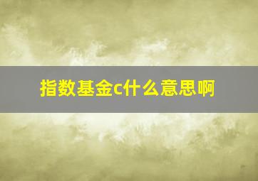 指数基金c什么意思啊