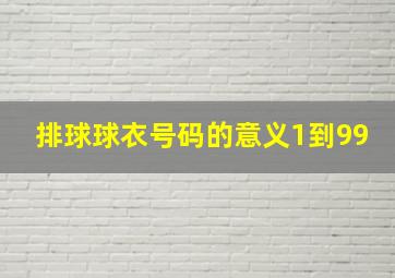 排球球衣号码的意义1到99