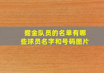 掘金队员的名单有哪些球员名字和号码图片