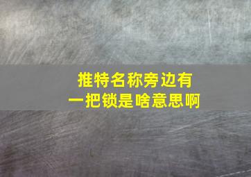 推特名称旁边有一把锁是啥意思啊