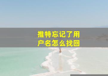 推特忘记了用户名怎么找回