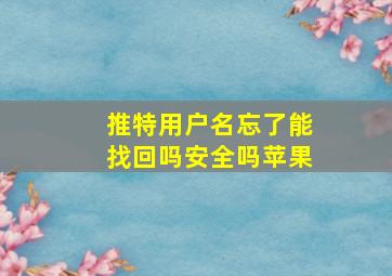 推特用户名忘了能找回吗安全吗苹果