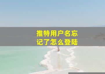 推特用户名忘记了怎么登陆