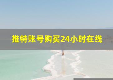 推特账号购买24小时在线