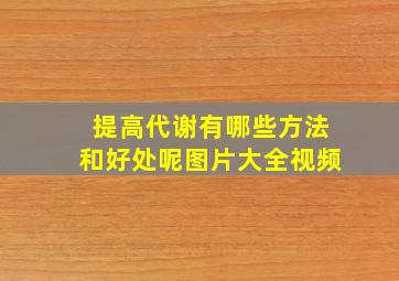 提高代谢有哪些方法和好处呢图片大全视频