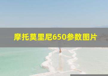 摩托莫里尼650参数图片