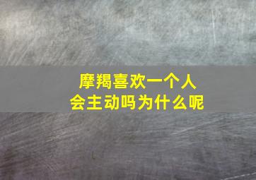 摩羯喜欢一个人会主动吗为什么呢