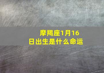 摩羯座1月16日出生是什么命运