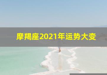 摩羯座2021年运势大变