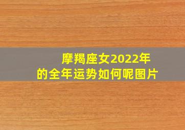 摩羯座女2022年的全年运势如何呢图片